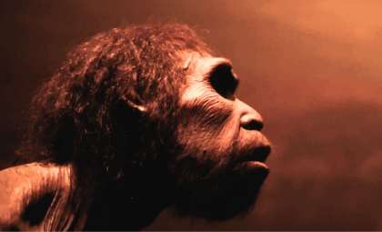 Newly Identified Early Human Ancestor Challenges Traditional Evolutionary Models