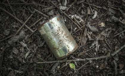 What a 50-Year-Old Can of Salmon Revealed About Ocean Life