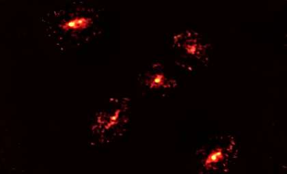 Unveiling a Hidden Dark Matter Halo Through an Unusual Einstein Cross