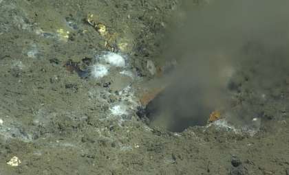 Scientists Uncover an Enigmatic Freshwater Spring Beneath the Ocean Floor