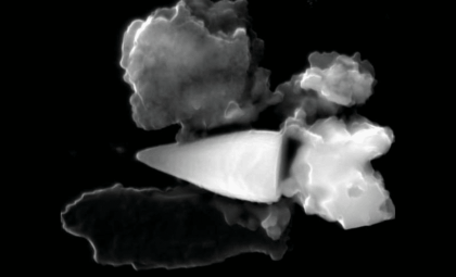 Ancient Marine Fossils Reveal Natural Magnetic Navigation System in Ocean Life