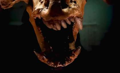 Ancient Antlered Skull Discovered from Pre-Dinosaur Era