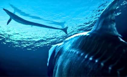 Jurassic Marine Reptile Species with Unique Overbite and Reinforced Ribs Unearthed Among Ancient Cephalopods