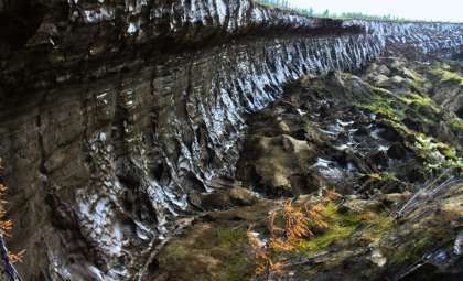 Reviving Microbes Frozen for 40,000 Years Unveils Alarming Climate Feedbacks