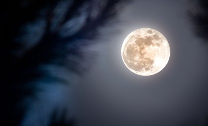 Mark Your Calendar: The Closest Supermoon of 2025 Illuminates November Skies