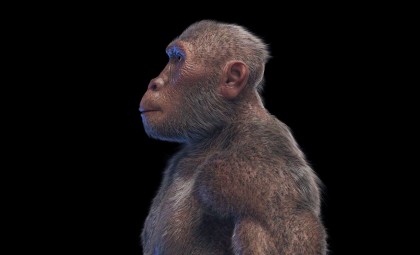 Ancient Fossil Reveals Gorilla-Like Hands and Human-Like Feet in Paranthropus boisei
