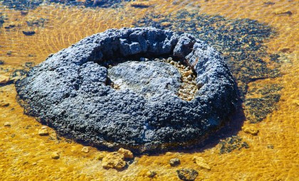 Ancient 3.5 Billion-Year-Old Rocks Unearthed in Australia Reveal Earth’s Earliest Life