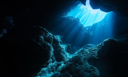 Researchers Capture Images of Deepest Known Fish at 8,336 Meters Beneath Pacific Ocean