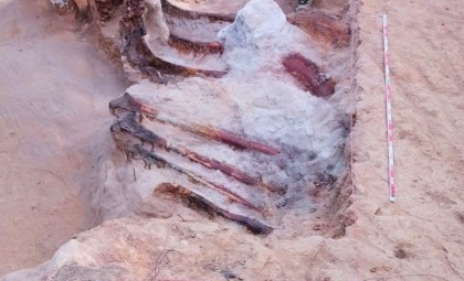 Huge Dinosaur Fossils Unearthed in Portuguese Backyard Hint at Europe’s Largest Giant