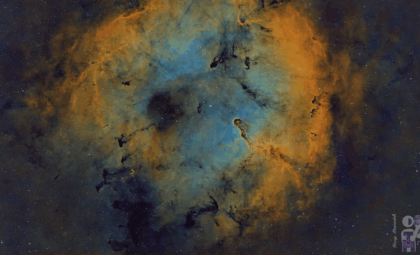 Astrophotographer Unveils Breathtaking Details of the Elephant Trunk Nebula