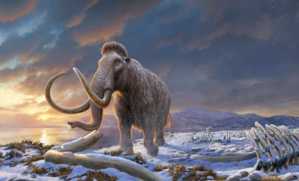 Scientists Decode the Oldest RNA from a Mammoth Frozen for Nearly 40,000 Years