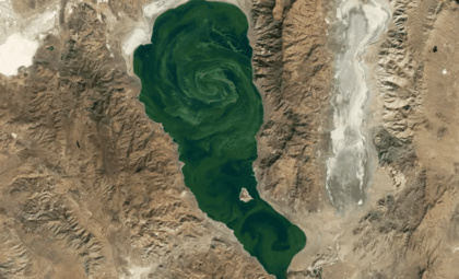 NASA Satellite Reveals Intense Toxic Algae Bloom in Nevada's Pyramid Lake