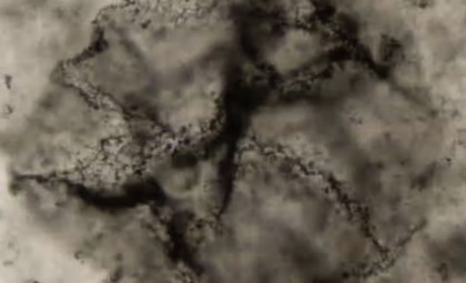 Researchers Discover 3.3 Billion-Year-Old Chemical Traces Signaling Early Life