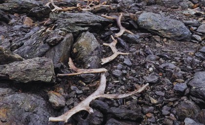 Ancient Reindeer Hunting Structure Revealed by Retreating Ice in Norway