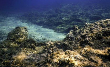 New Discovery Reveals Oxygen Generation Deep in the Sunless Ocean