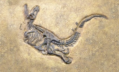 UK Scientists Discover the Most Intact Dinosaur Fossil in a Century