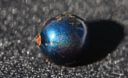 Discovering Nature’s True Blue: The Blue Quandong’s Optical Illusion