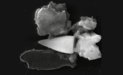 Ancient Magnetic Fossils Reveal 97-Million-Year-Old Navigation Secrets