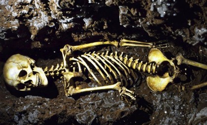 Ancient 1-Million-Year-Old Skull Sheds Light on Coexistence of Human Species for 800,000 Years