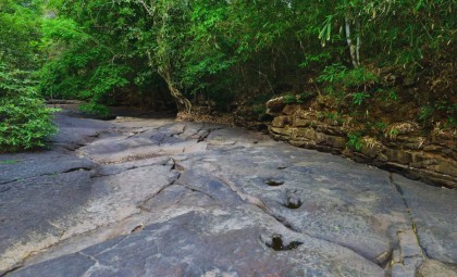 Remarkable Dinosaur Footprints Discovered Deep Within the Amazon Rainforest
