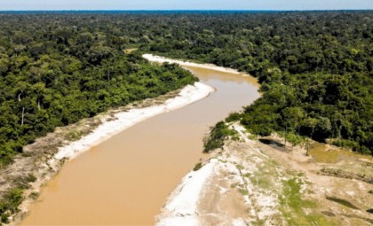 Rediscovery of a Fish Species Thought Lost for Decades in Bolivia’s Remote Wilderness