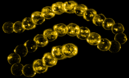 The Extraordinary Journey of SOHO: Pioneering Solar Research for Three Decades