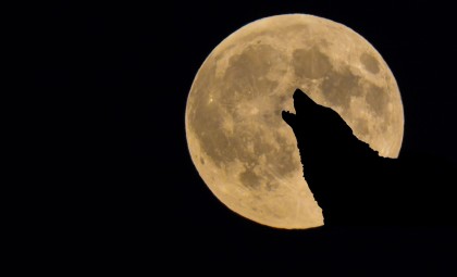 Mark Your Calendars: The Upcoming Wolf Moon and How to Spot It