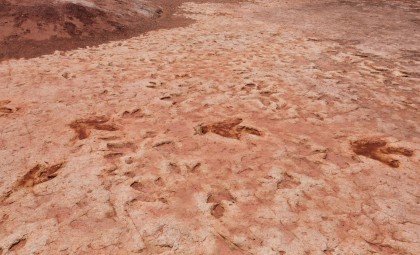Record-Breaking Discovery of Nearly 18,000 Dinosaur Footprints in Bolivia