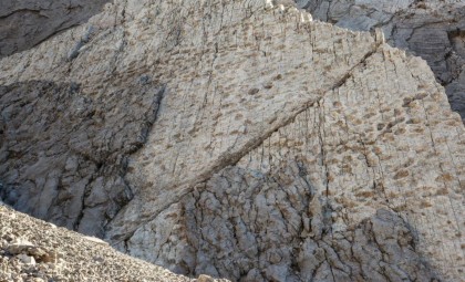 Thousands of Dinosaur Tracks Uncovered Near Upcoming Olympic Site in Italy