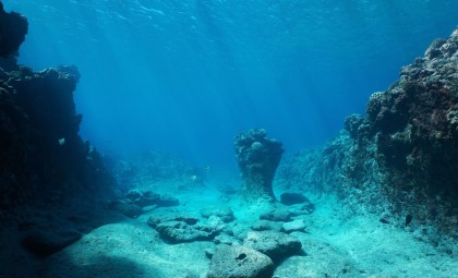 Ancient 7,000-Year-Old Submerged Stone Wall Discovered Off French Coast