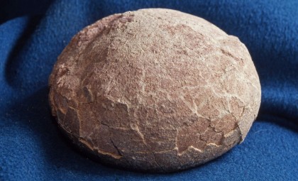 New Crystal-Filled Dinosaur Eggs Unearthed in China Reveal Unique Fossil Details
