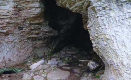Ancient Wolf Bones Unearthed on Remote Island Challenge Dog Domestication Theories