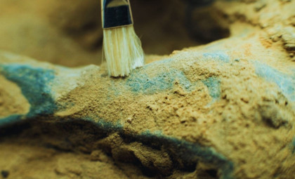 Remarkably Preserved 520-Million-Year-Old Fossil Reveals Tiny Arthropod Brain