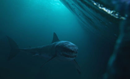 Discovery of an 8-Meter-Long Ancient Shark Fossil in Australia Revises Shark Evolution Timeline