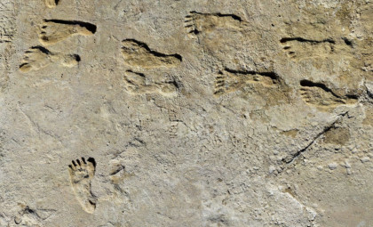 Oldest Human Footprints Found in New Mexico Redefine Migration History