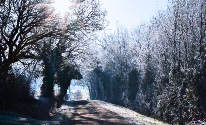 Why Winter’s Chill Is Crucial for Life and Agriculture Amid Rising Global Temperatures