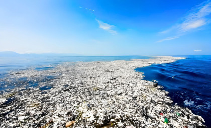 From Pollutant to Habitat: How Pacific Ocean Plastics Support Diverse Marine Life
