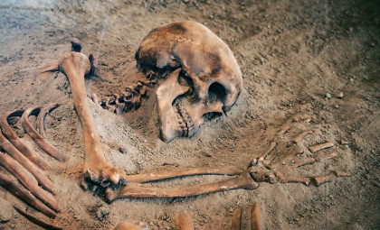 New Findings Suggest Multiple Human Ancestors Departed Africa Earlier Than Thought