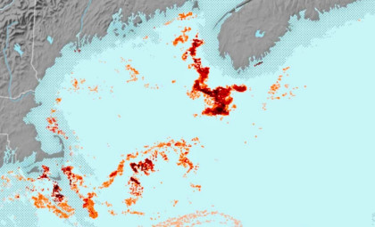 NASA Satellites Detect Tiny Red Zooplankton Vital for Endangered Whales