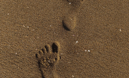 Ancient Human Footprints Unearthed on Moroccan Shoreline Date Back 90,000 Years