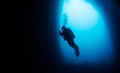 French Divers Reveal New Footage of Rare ‘Living Fossil’ at 145 Meters Depth