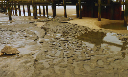 800,000-Year-Old Human Footprints Unearthed on UK Coastline Reveal Ancient Life