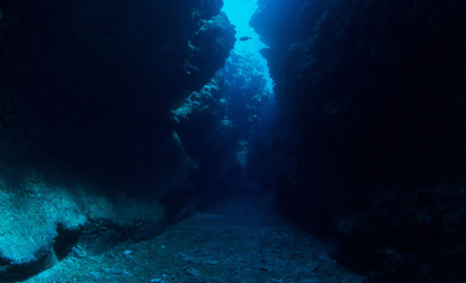 Deep Ocean Discovery: Gigantic Megalodon Tooth Found Over 10,000 Feet Underwater