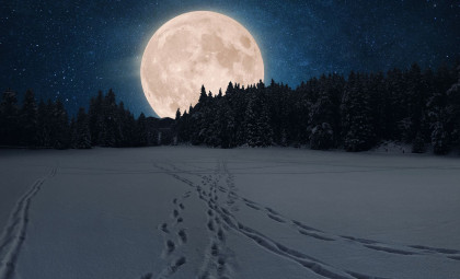 February’s Full Moon and Regulus Star Align in a Rare Celestial Event Not Seen Until the 2030s