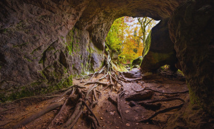 Exploring New Zealand’s Ancient Cave Reveals Fossils from Over a Million Years Ago
