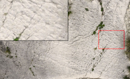 Italy’s Ancient Marine Reptile Tracks Reveal Oldest Known Seafloor Stampede