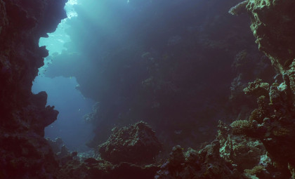 Chinese Expedition Discovers Thriving Life 10,000 Meters Below the Pacific Ocean