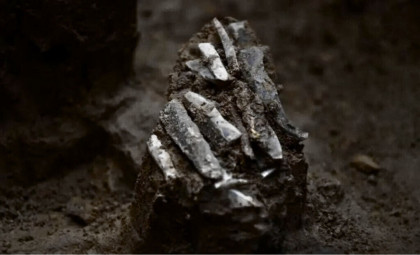 Ancient Ice Age Toolkit Unearthed After 30,000 Years Offers New Insights into Early Human Life