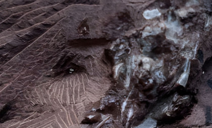 290-Million-Year-Old Fossilized Vomit Sheds Light on Permian Predators