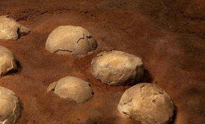 Dinosaur Eggshells Unlock Precise Burial Dates Across Vast Geological Layers